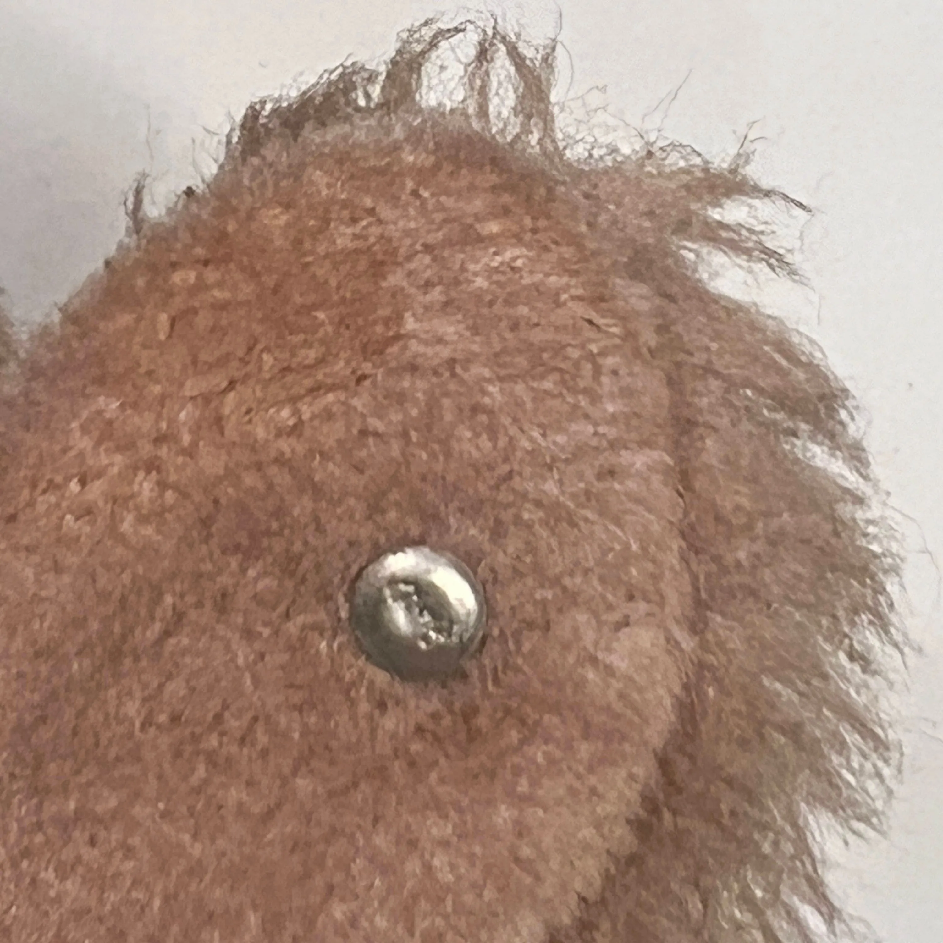 Vintage 1950s 60s Steiff Cosy Snobby Poodle Dog w Button 24 cm